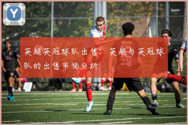 英超英冠球队出售：英超与英冠球队的出售市场分析